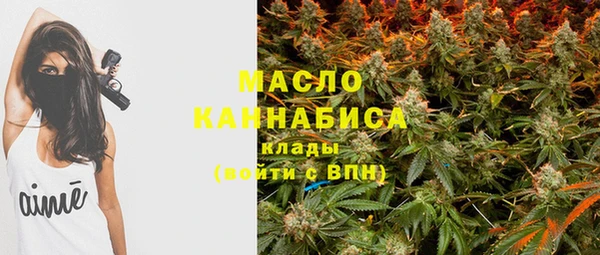 молекула духа Ростов