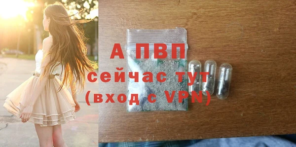 мдпв Богородск