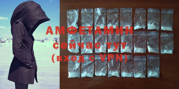 мдпв Богородск