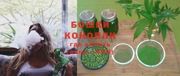 PSILOCYBIN Богданович